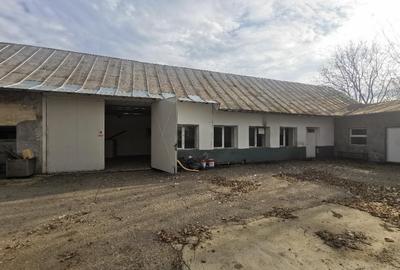 Spațiu industrial, de 1,000 mp, în Exterior Sud - 9