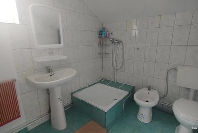 Casă cu Teren 1680 Mp în Govăjdia - 1