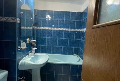 Apartament cu 2 camere decomandat în Timișu de Jos - 3