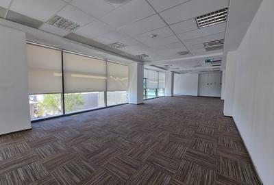Birou, de 12,598 mp, în Păcurari - 6