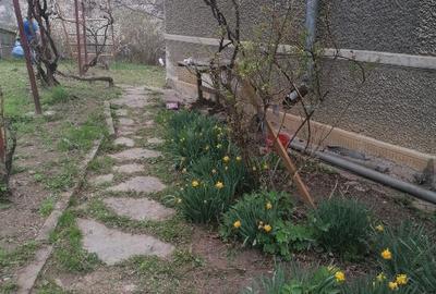 Casă individuală cu 5 camere cu Teren 1200 Mp în Lopătari - 5
