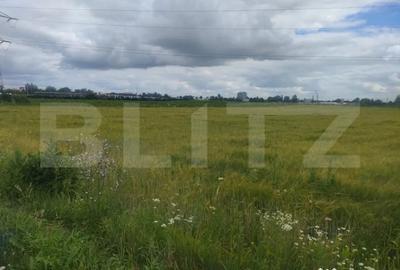 Teren de 6600 mp, în Rădăuți