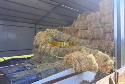Teren Construcții extravilan de 10577 mp, în Bulbucata - 20