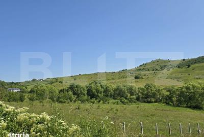 Teren de 1100 mp, în Ciurila - 3