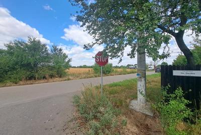 Teren de 5000 mp, în Cojești - 6