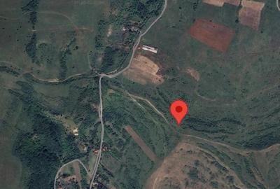 Teren de 11600 mp, în Central