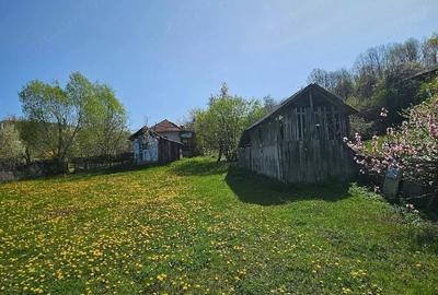 Teren de 3000 mp, în Dăești - 4