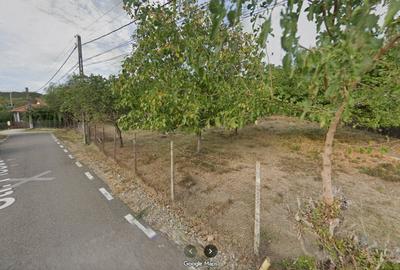 Teren de 1200 mp, în Berca - 5