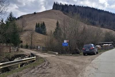 Teren de 716 mp, în Poiana Teiului - 1