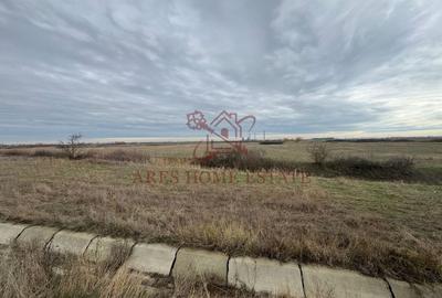 Teren agricol extravilan de 5000 mp, în Freidorf - 5