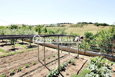 Teren Construcții intravilan de 650 mp, în Dâmbu Pietros - 13