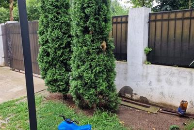 Casă cu 3 camere în Central