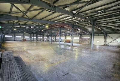 Spațiu industrial, de 9,697.3798828125 mp, în Ariceștii Rahtivani - 6