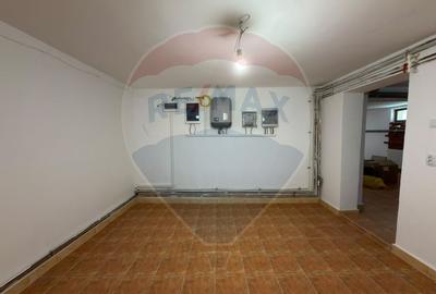 Casă individuală cu 11 camere cu Teren 5134 Mp în Gruiu - 24