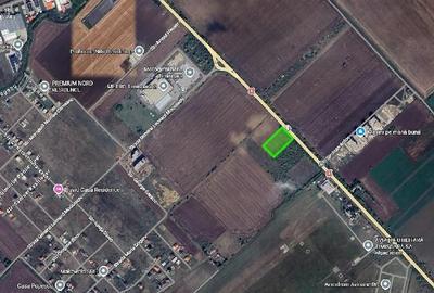 Teren de 8000 mp, în Torontalului - 1