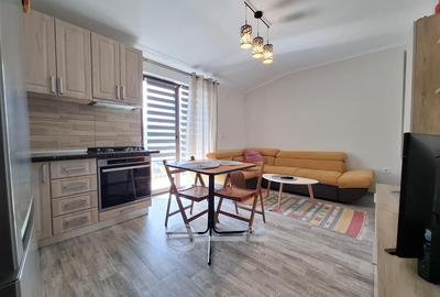 Apartament cu 2 camere semidecomandat, mobilat în Valea Lupului