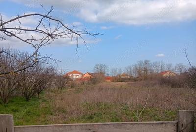 Casă în Tariverde