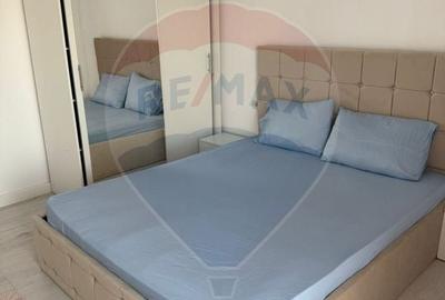 Apartament cu 3 camere decomandat, mobilat în Brazda lui Novac - 8