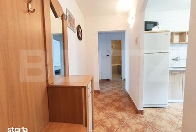Apartament cu 2 camere decomandat în Carpați 2 - 10
