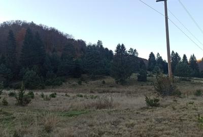 Teren de 1810 mp, în Brebina