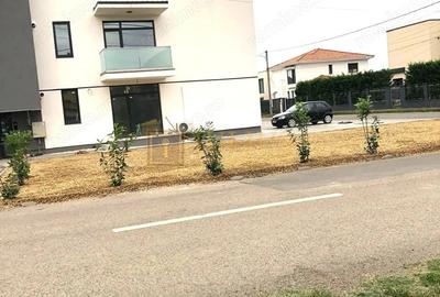 Garsonieră semidecomandată, mobilată în Dumbrăvița - 2