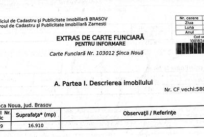 Teren agricol extravilan de 18860 mp, în Șinca Nouă - 18