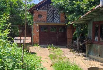 Casă cu 4 camere cu Teren 2700 Mp în Teiș - 2