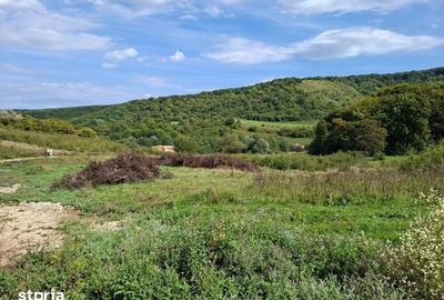 Teren de 1200 mp, în Florești - 3
