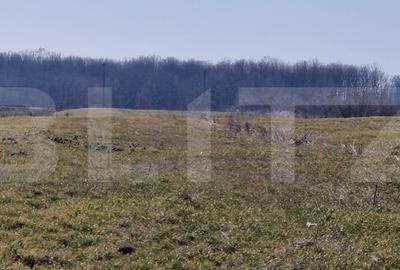 Teren Construcții intravilan de 10000 mp, în Exterior Est