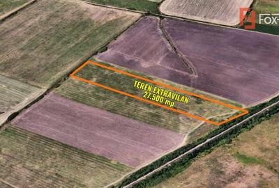 Teren agricol extravilan de 27500 mp, în Mehala - 2