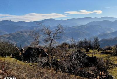 Teren de 20000 mp, în Moieciu - 2