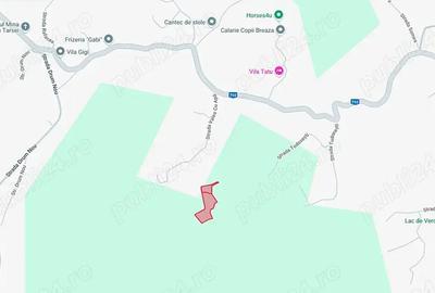 Teren de 6376 mp, în Valea Târsei - 3