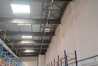 Spațiu comercial, de 465 mp, în Odăi - 5