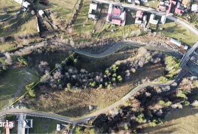 Teren de 14927 mp, în Vatra Moldoviței - 3