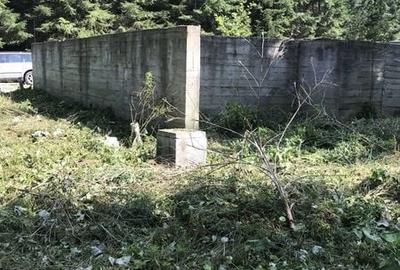 Teren de 3600 mp, în Sucevița - 8