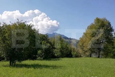 Teren de 2500 mp, în Ceahlău - 2