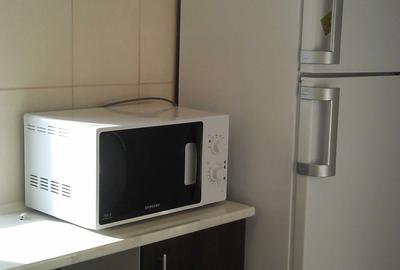 Garsonieră decomandată în Titulescu - 5
