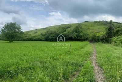 Teren de 15900 mp, în Năeni - 2