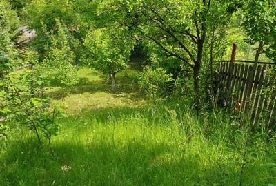 Teren de 800 mp, în Ibănești - 6