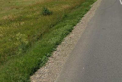 Teren de 29300 mp, în Lețcani - 6