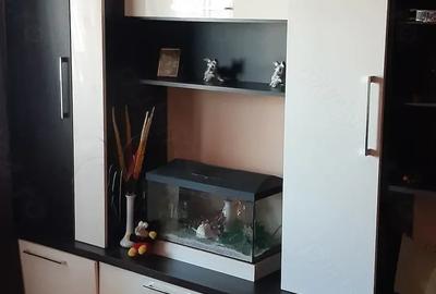 Apartament cu 2 camere semidecomandat în Viziru 3 - 2