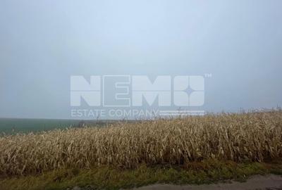 Teren agricol extravilan de 28400 mp, în Dărmănești - 19
