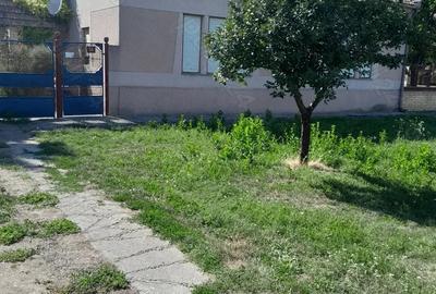Casă cu 5 camere cu Teren 3800 Mp în Central