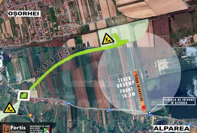 Teren Construcții intravilan de 6938 mp, în Alparea - 1