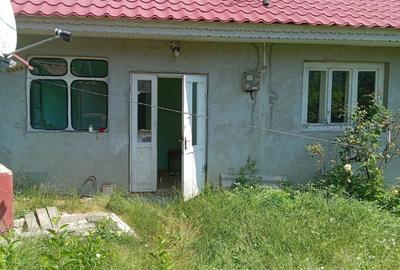 Casă cu 3 camere în Dumitreștii Gălății