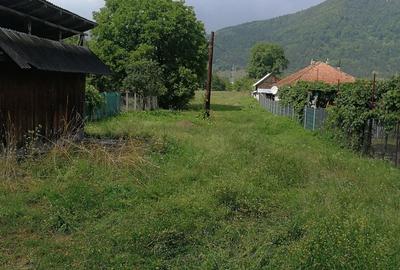 Teren în Stejaru (Pângărați) - 7
