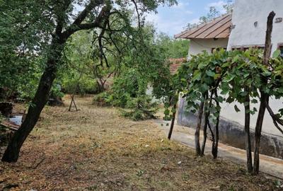 Casă individuală cu 3 camere cu Teren 2457 Mp în Adunații Teiului