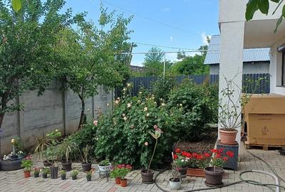 Casă cu Teren 400 Mp în Cornetu - 5