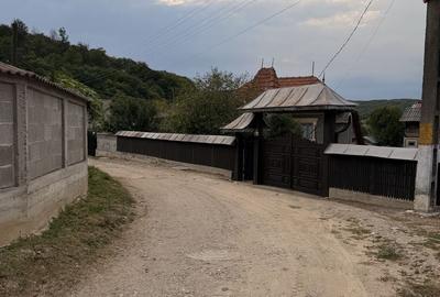 Spațiu comercial, în Căprioru