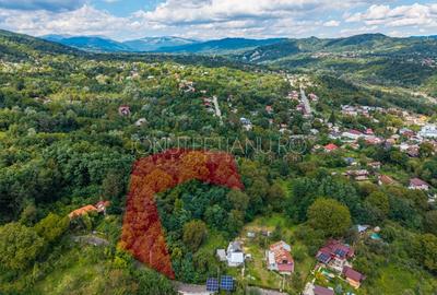 Teren Construcții intravilan de 3886 mp, în Podul Vadului
